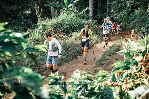 BIB: 
                            <button type="button" onclick="openModal(25852760)" class="btn btn-primary btn-sm float-right btn-popup" data-toggle="modal" data-target=".modal-high-quality">
                        <i class="fas fa-shopping-cart"></i> Add to Cart
                    </button>
                                            <button type="button" onclick="isThisMe(25852760, true)" class="btn btn-success btn-sm float-right btn-popup btn-isme hidden" data-toggle="tooltip" data-placement="bottom" title="นี่คือรูปของคุณใช่ไหม คลิกที่นี่เพื่อเอาเข้าอัลบั้ม">
                        <i class="fas fa-plus"></i> Add to album
                    </button>
                    <button type="button" onclick="isThisMe(25852760, false)" class="btn btn-warning btn-sm float-right btn-popup btn-isnotme hidden">
                        <i class="fas fa-ban"></i> Remove from album
                    </button>